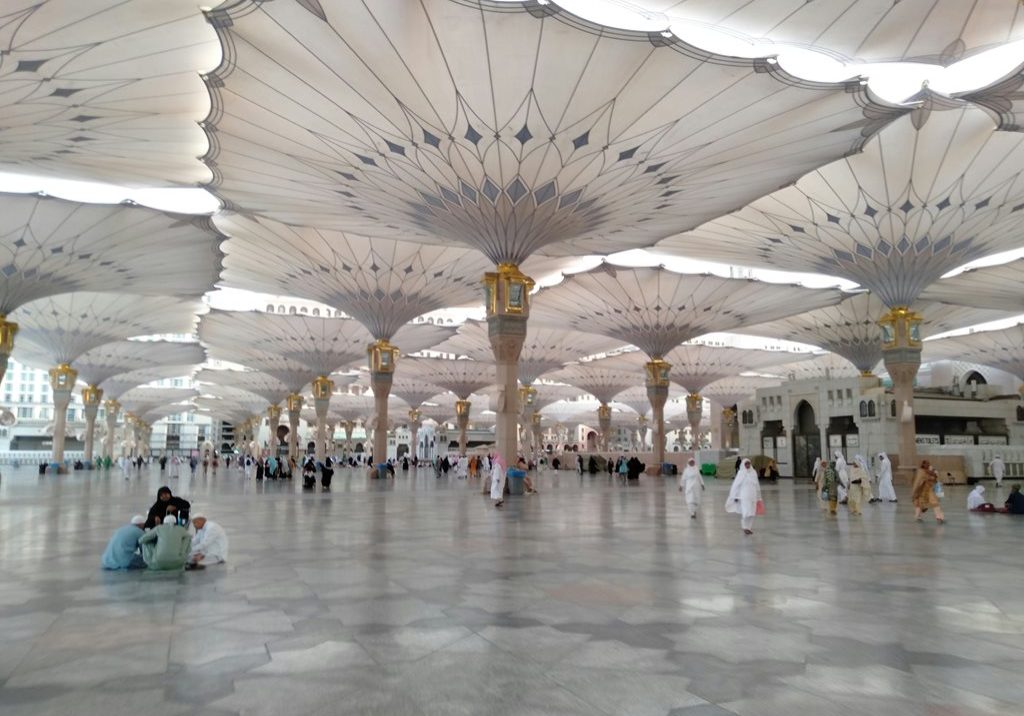 image (1)